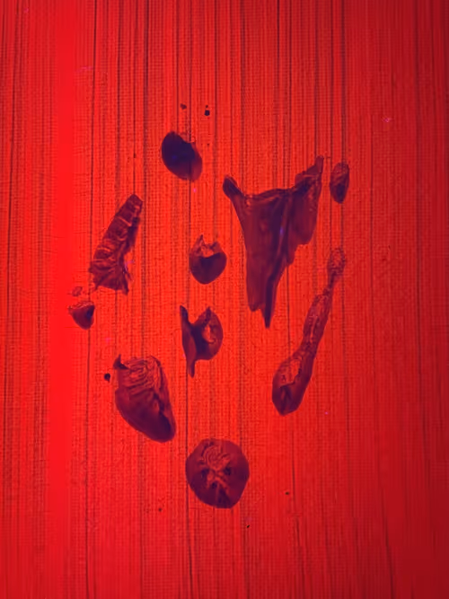 Item #82156306384610747966184862212727550247456131418142315154672423522637898055681 Media