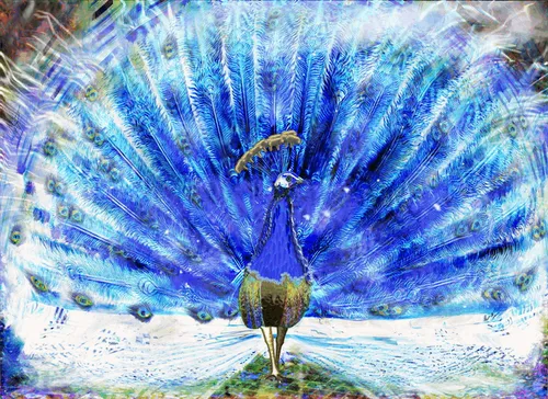 Item #69699127589657871344155095729616108321095768172623320645971986120047322988545 Media