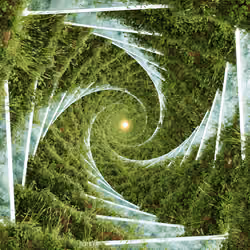 FIBONACCI DAY ANIMATION