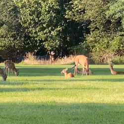 90554348501187123483596379168260119643540702018194998506702136925013348974593