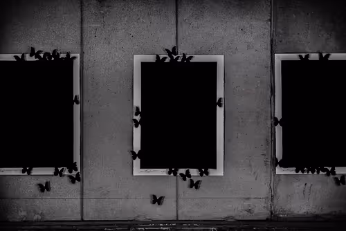 Item #49129412008169772786986690209537281524902027925806806199562930645367305273345 Media