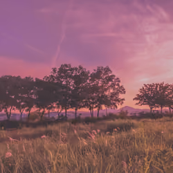 [Actuality] #3 purple hour 