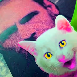 4747115153065902387790593868107453782499677024781155622119189978506799874049