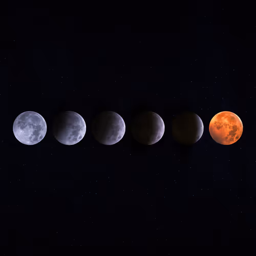 Item #5616953568499340907775711825497604278044637464082209410752742841759461015553 Media