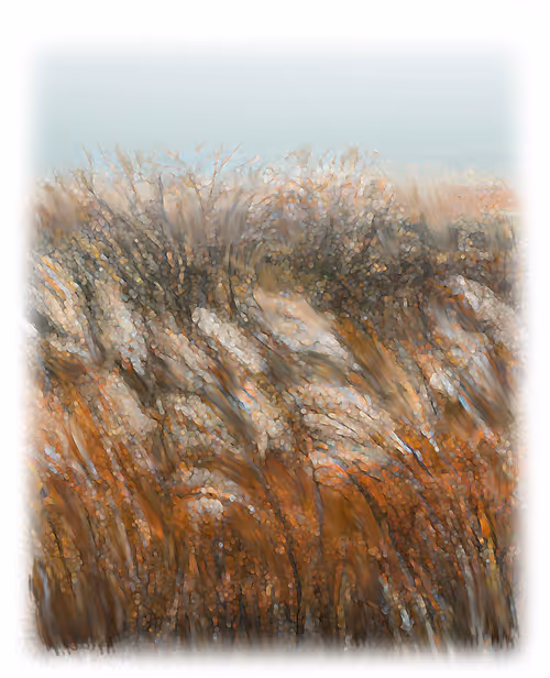 Item #90135543408535854043317237069529554281526780626237874822507290456370546999297 Media