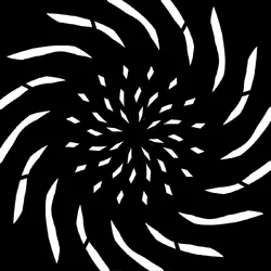 Cryptodala #3