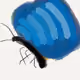 49886949344166909151466903997982504873531293348039625357571174567656279769089