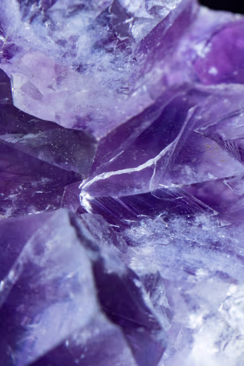 Item #66707676080978551838263520702754250537377931787813102231396956444143300640769 Media