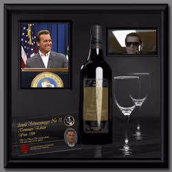 Arnold Schwarzenegger "Terminator" Edition No. 10