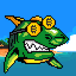 SharkPunk #5 - "Leon"
