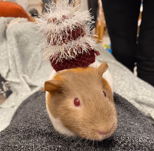 Random/my_slice_ofparadise