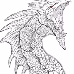 Red eye Dragon Sketch