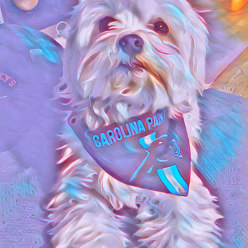 PanthersPuppy