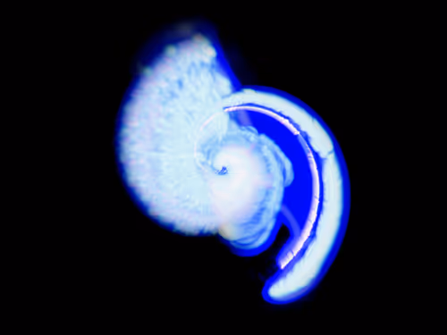 Item #45731211464929816441170859700976373292149702980452148839612469043566586363905 Media