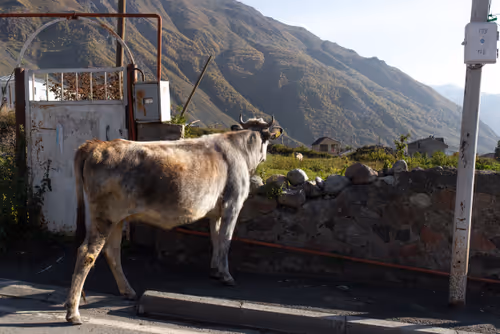 Item #8293050977498067439738640211663030445621008093446820664285481094371063365633 Media