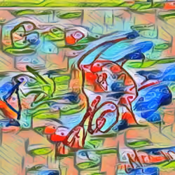 The Fish