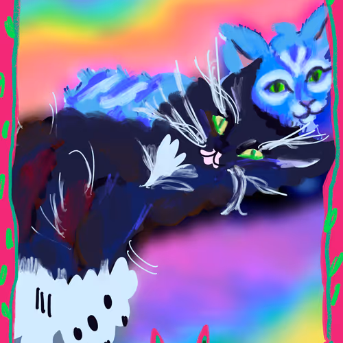 Kitty Portraits