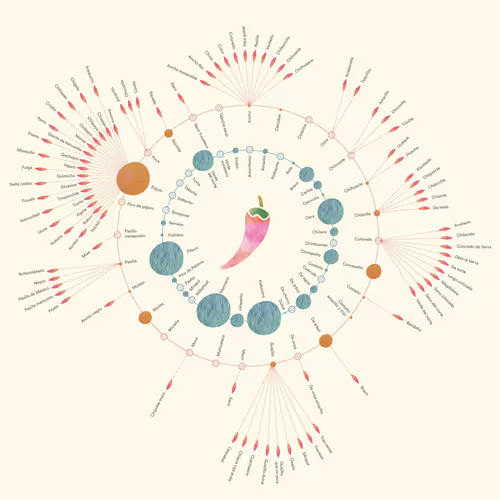 Item #84453315406942778833208532618023425483461524405589291089193984789844519288833 Media