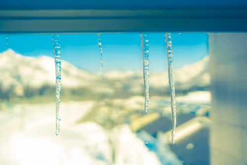 Item #87724672545568216492349628543176573267958151988335217142690977337809599201281 Media