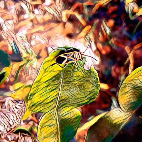 81269833061274051173789884418282317830923519221172308843662164501062282641409