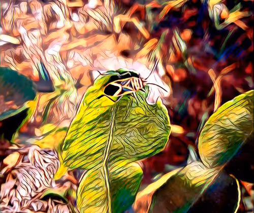 Item #81269833061274051173789884418282317830923519221172308843662164501062282641409 Media