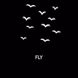 #0005 - FLY