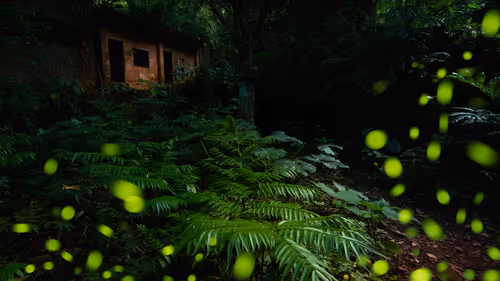 Item #95959012453955808613832479973622577136633073977995899638249620757339925643265 Media