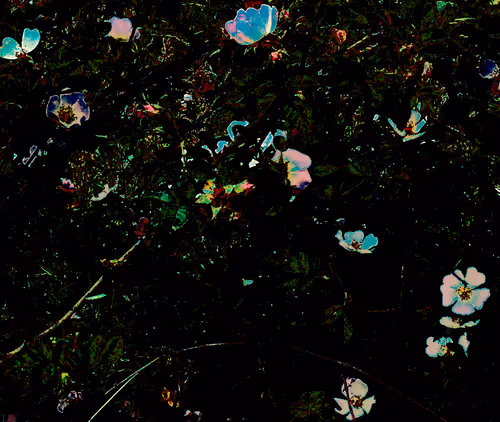 Item #65492879559599662898889636724040524536021934068269741924321855568153073942529 Media