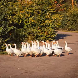 93670677946969715154963626537124121495444965990550895251141376740605713973258