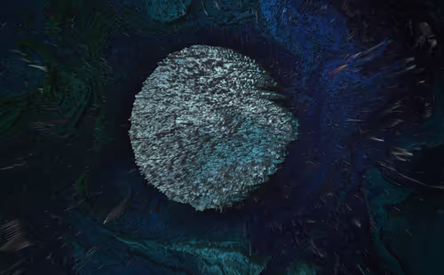 Item #93265581681482929830596073786375991591593247487054837366020356535837609951233 Media