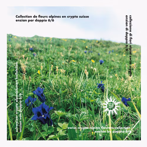 Item #40701560831826123766766153565006701143315228291478980773029414594398031708161 Media