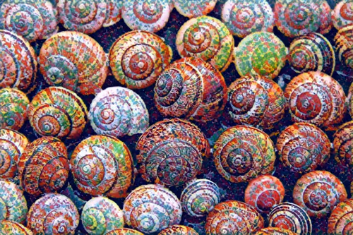 Item #109471203920939043635820920116395936685990389756447863820850984762124422610945 Media