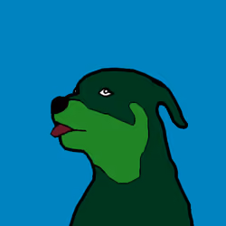 CryptoSami #428