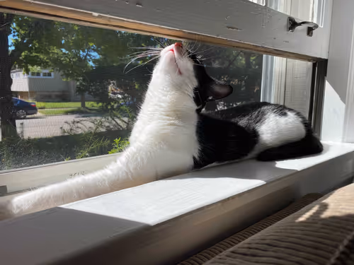 Item #87936365084545024922954846266013406485791365954799981050467889693789270310913 Media