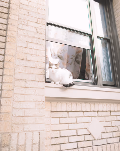 Item #33042120889451854685272695172442478807155240332106701713195592490298353123329 Media