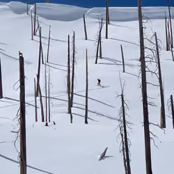 Cornice #2
