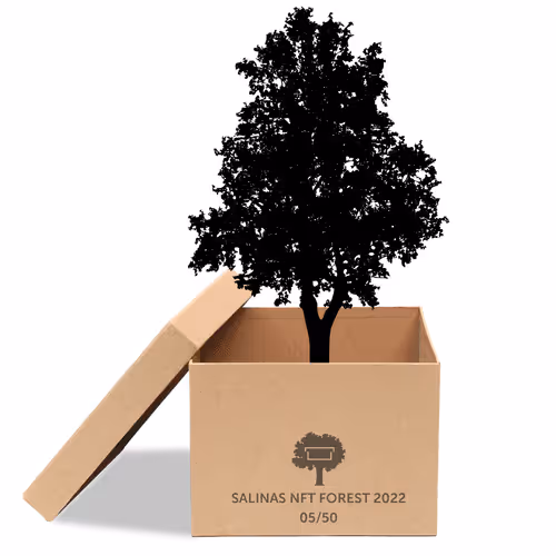 Item #63532776318757439562276927313719991273687356279339277108967620954133628977153 Media