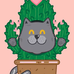 cactus cat 03