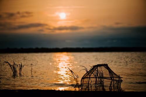 Item #114356424979646912091291396938675079969318378250921425408739931192355687759873 Media