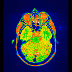 64162533542198579898252916190583583845604629893829087458582976144915226951681