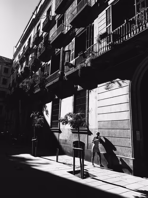 Item #17491933445981950493603605201939822143200868578689851698191638433410962161674 Media