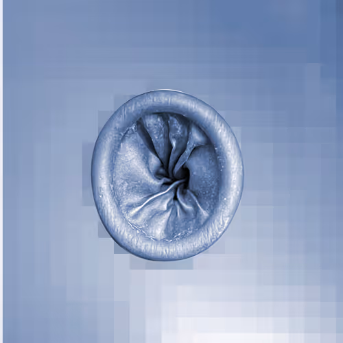 Item #112443806312787433902540167291229144376569237612293574157816900168698149470209 Media