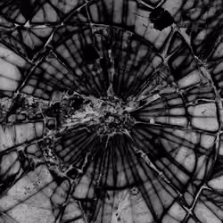 Web