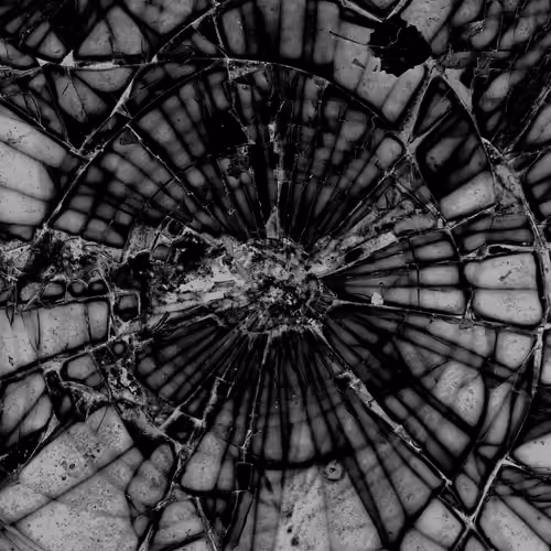 Web