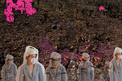 Item #106259306028846320888035307103513942814456112166163677529128261792976758374401 Media