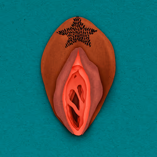 Item #83469337007199017734157032909695619947256388016886346874491258697087333695489 Media