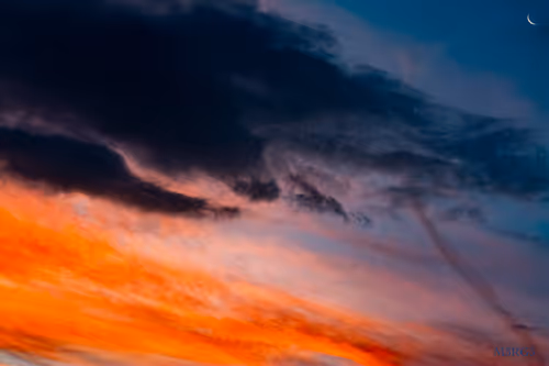 Item #53066580447893182690859255571300366451776015640198026771655436616022045491201 Media