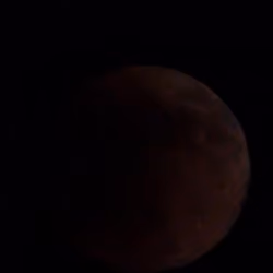 Super Flower Blood Moon #39