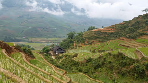 Item #17199085691341961783568916534787544428656954736531135273218644070409175040001 Media