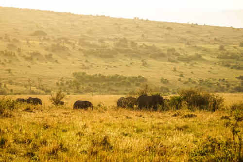 Item #112687108726403883410693318050335134033730152849283902503465333986949976817665 Media